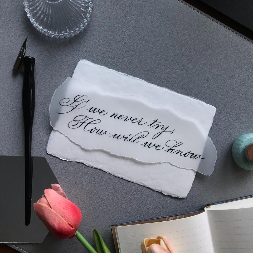 If we never try, How will we know - a song &quot;Fall in love alone&quot; by Stacey Ryan